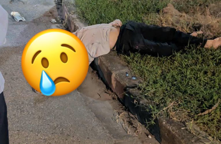 Full ảnh KCN Phố Nối A