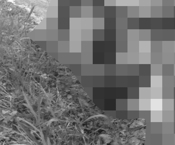 ẢNH 0CHE: Cân nhắc khi xem