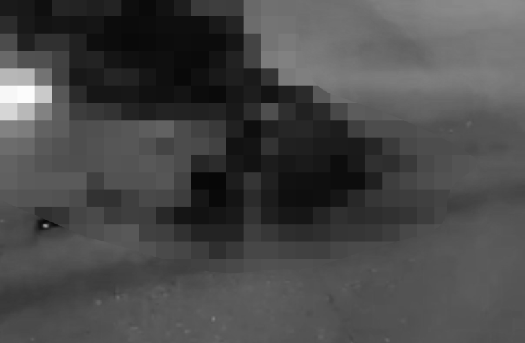 ẢNH 0CHE: Cân nhắc khi xem