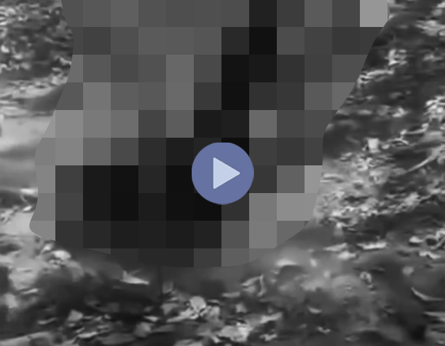 VI:DEO 0CHE: Cân nhắc khi xem