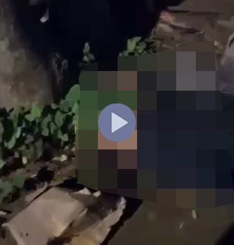 VI:DEO KHÔNG CHE: Cân nhắc trước khi xem