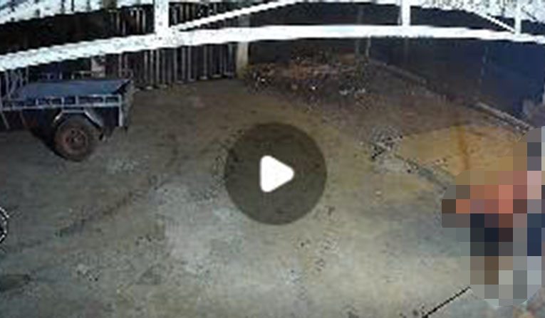 VI:DEO KHÔNG CHE: Cân nhắc trước khi xem