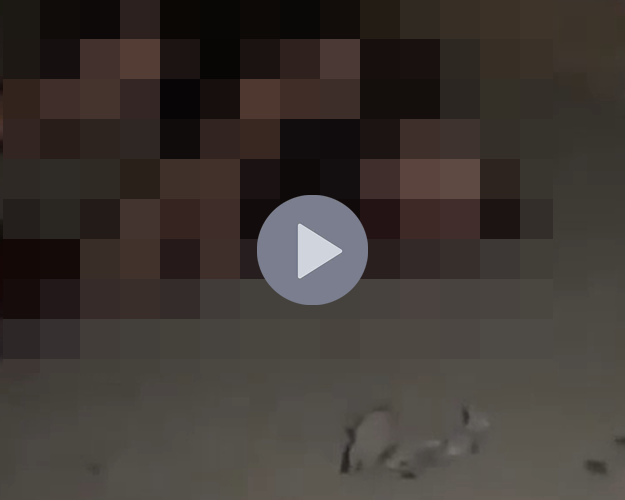 VI:DEO KHÔNG CHE: Cân nhắc trước khi xem