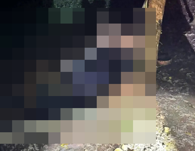 ẢNH KHÔNG CHE: Cân nhắc trước khi xem