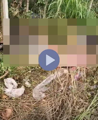 VI:DEO KHÔNG CHE: Cân nhắc trước khi xem