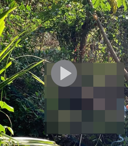 VI:DEO KHÔNG CHE: Cân nhắc trước khi xem