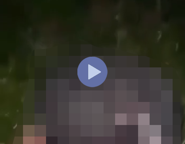 VI:DEO KHÔNG CHE: Cân nhắc trước khi xem