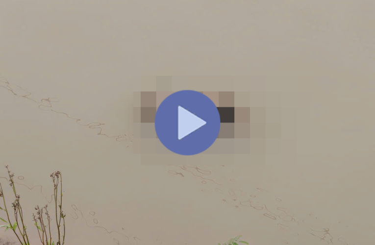 VI:DEO KHÔNG CHE: Cân nhắc trước khi xem