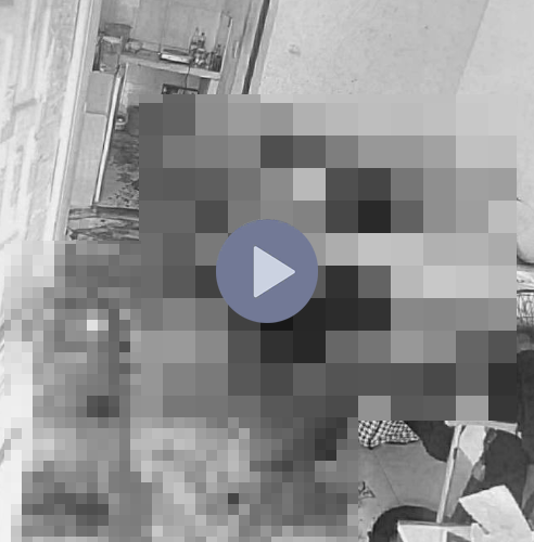 VI:DEO KHÔNG CHE: Cân nhắc trước khi xem