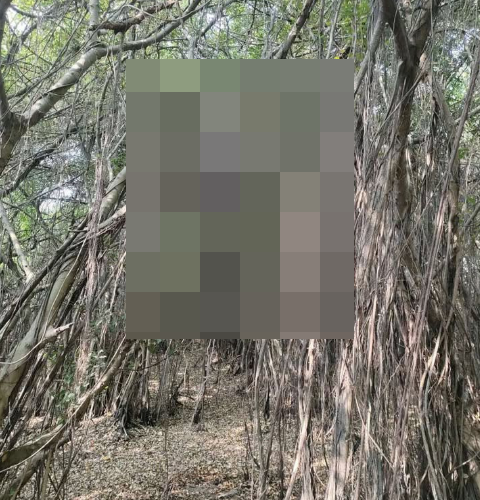 Ả.N.H KHÔNG CHE: Cân nhắc trước khi xem